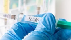 WHO Bantu Timor Leste Dengan 1.000 Vaksin Kendalikan  Rabies