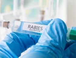 WHO Bantu Timor Leste Dengan 1.000 Vaksin Kendalikan  Rabies